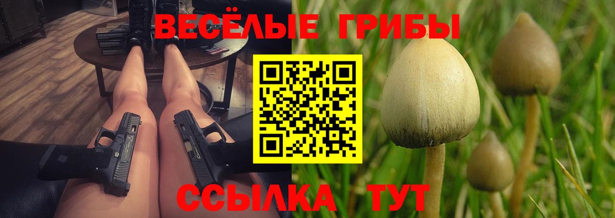Галлюциногенные грибы мицелий  Вход с VPN  Шатура  Галлюциногенные грибы Psilocybe 